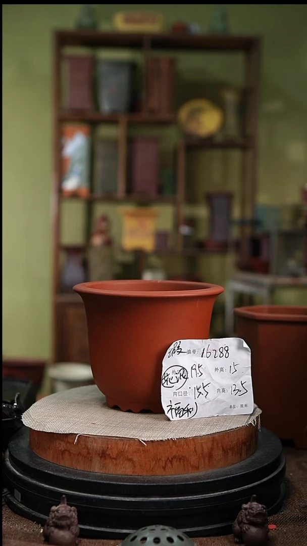 紫砂花盆花卉园艺16288瑕