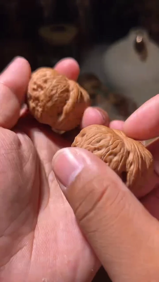 外****? 外星人文玩核桃大沽石