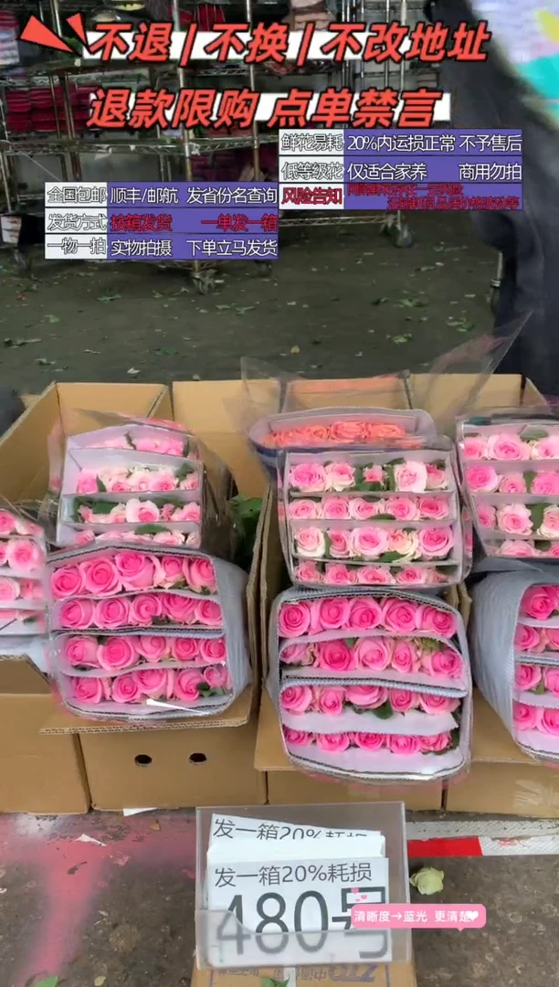 480号♥含20%耗损发一箱