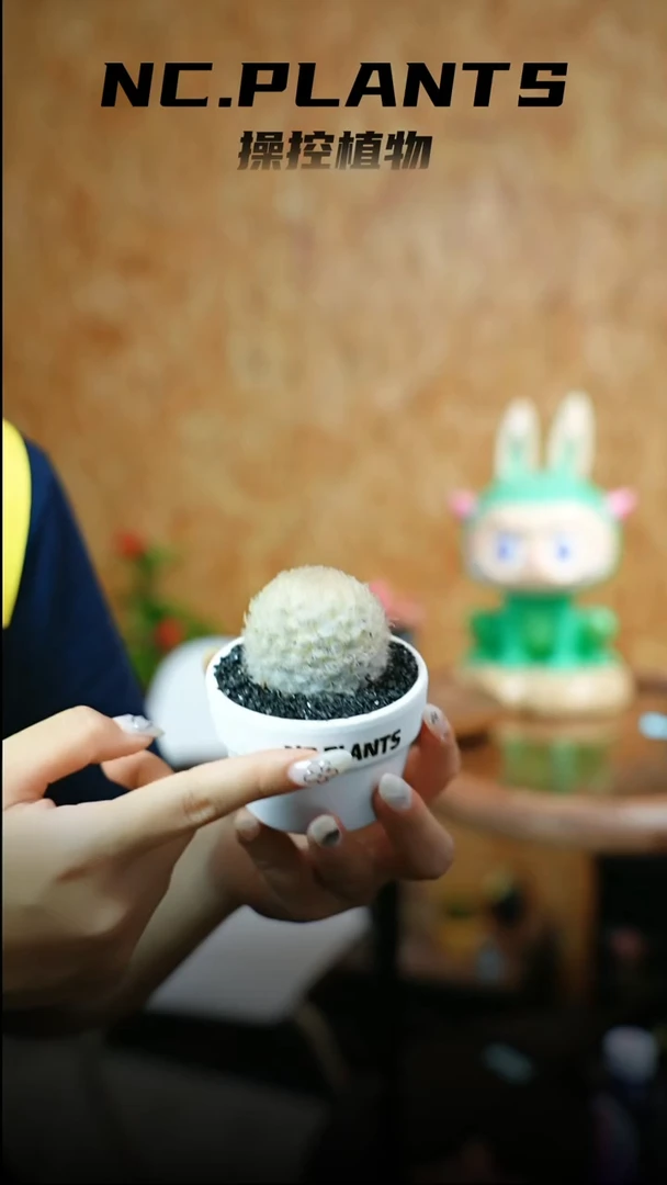 无花朵香草冰淇淋（615福利