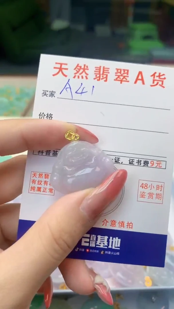 颈饰未镶嵌翡翠天然A货翡翠挂件