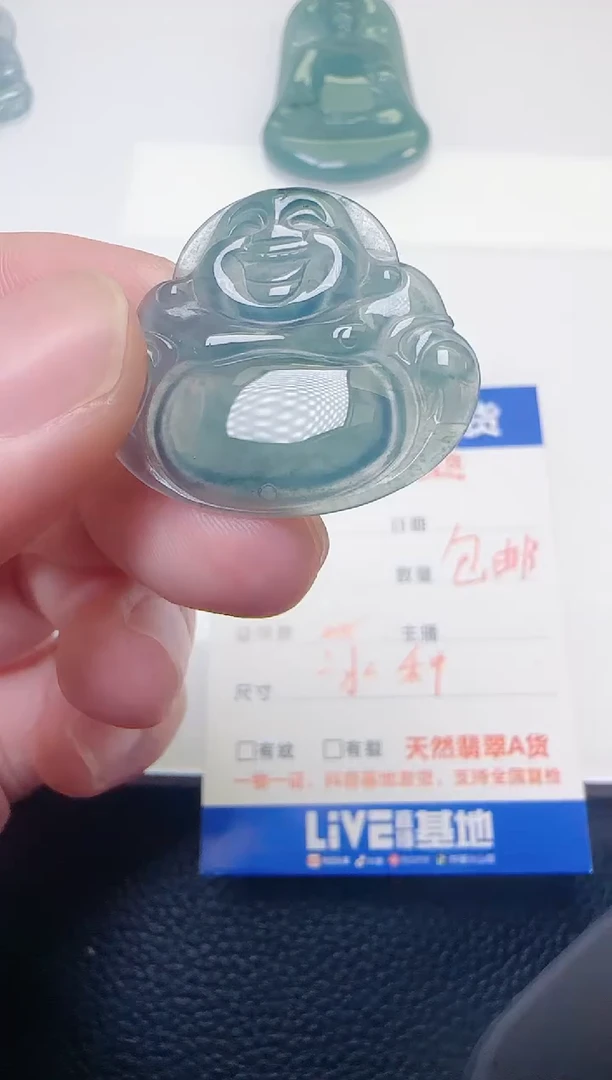 颈饰未镶嵌翡翠天然A货翡翠  多样性随机发其一