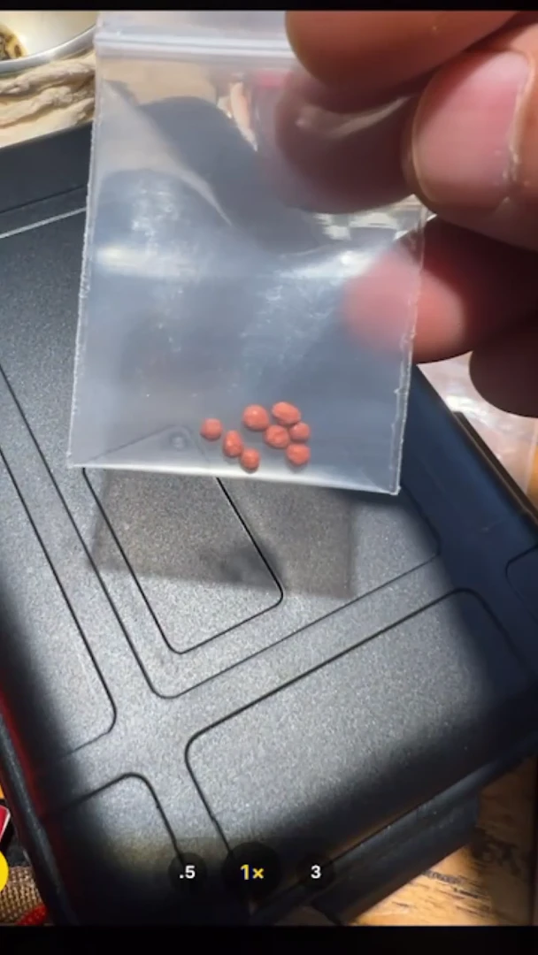 【闪购商品】装裱画四臂观-与实物略有不符介意者勿拍