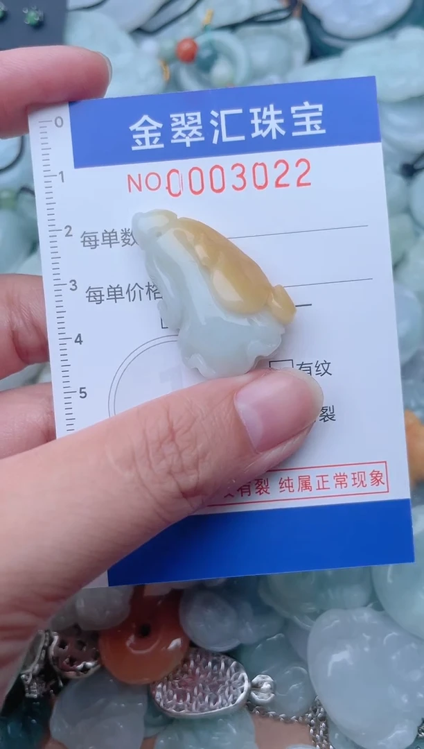 颈饰未镶嵌翡翠3022