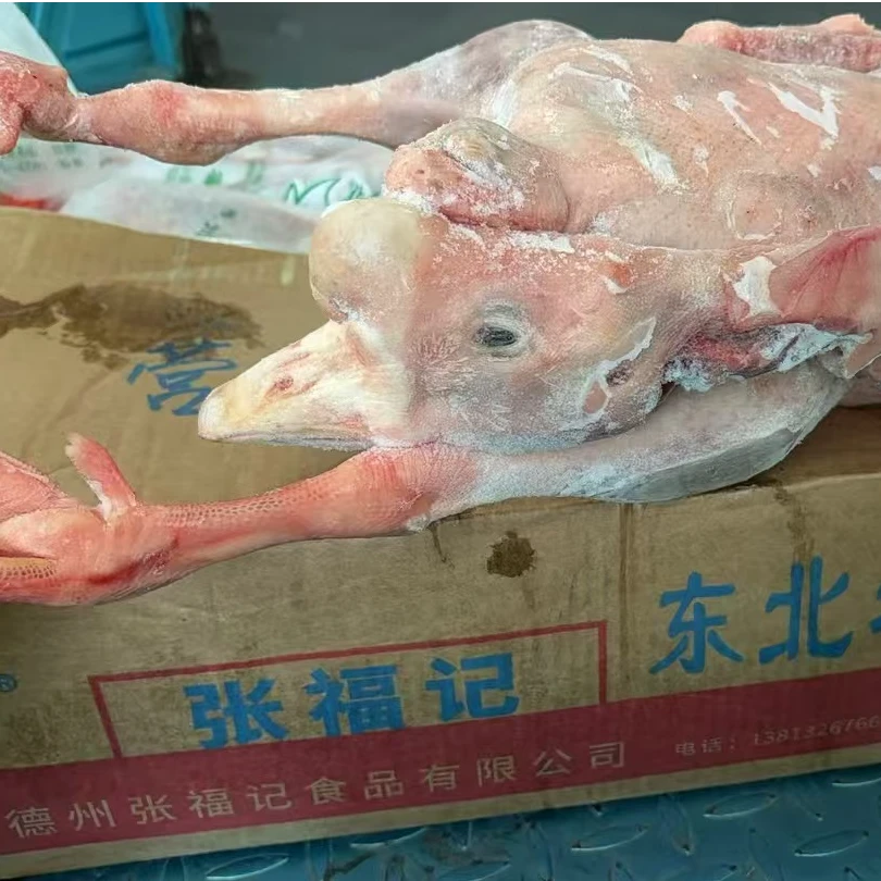 老公鹅 纯老鹅 冷冻老鹅 全净膛