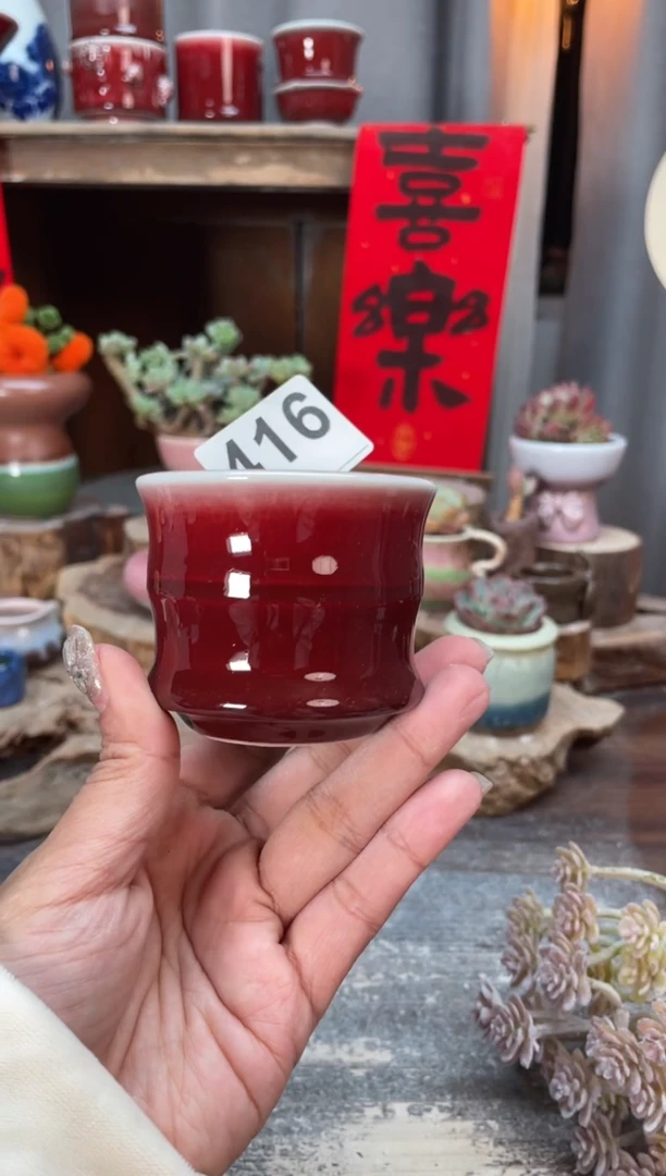 【闪购商品】摆件416知木小芳花盆