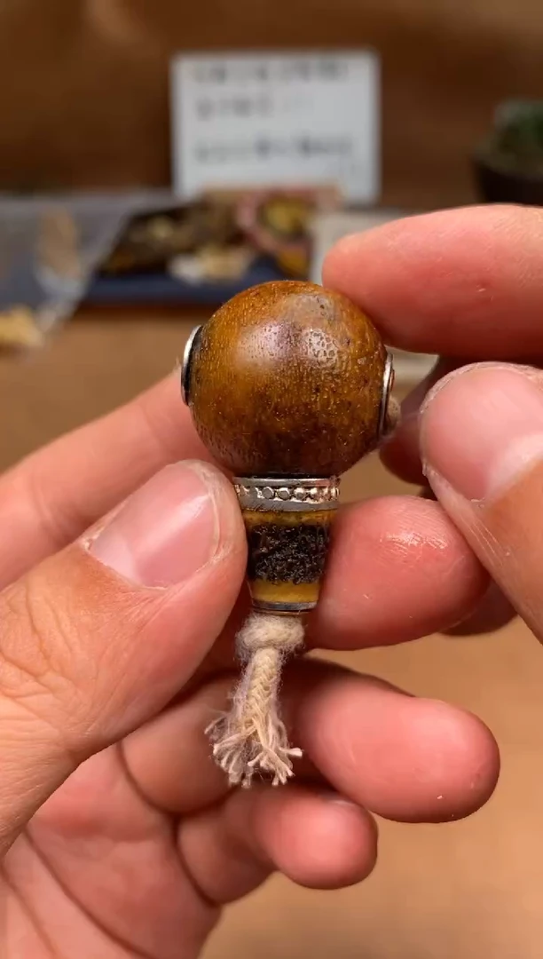 【闪购商品】牛骨其他满髓三通-有棕裂