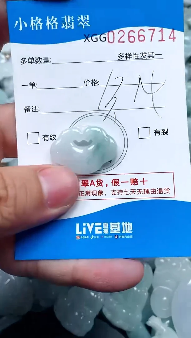 翡翠未镶嵌颈饰闪购商品0266714