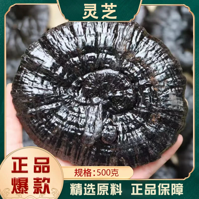 【品质优选】正品灵芝干货煲汤泡茶泡酒土特产