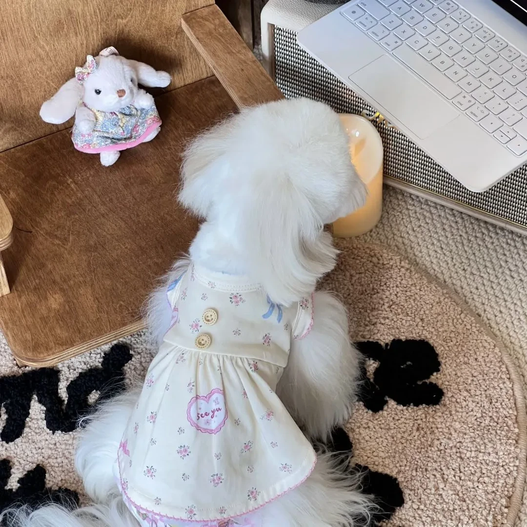 狗狗衣服2025新款薄款甜美碎花背心裙可爱小型犬猫咪宠物通用夏季