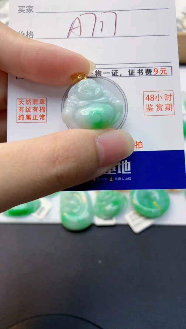 颈饰未镶嵌翡翠天然缅甸A货翡翠百元以上9元证书费自理