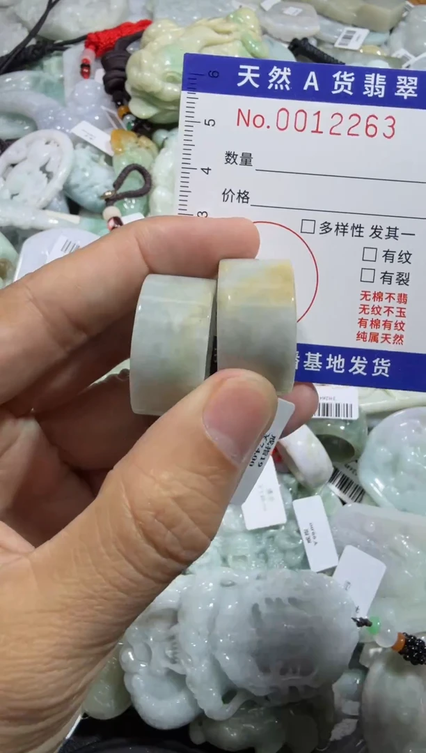 【闪购商品】翡翠颈饰未镶嵌00012263(多样性发货)