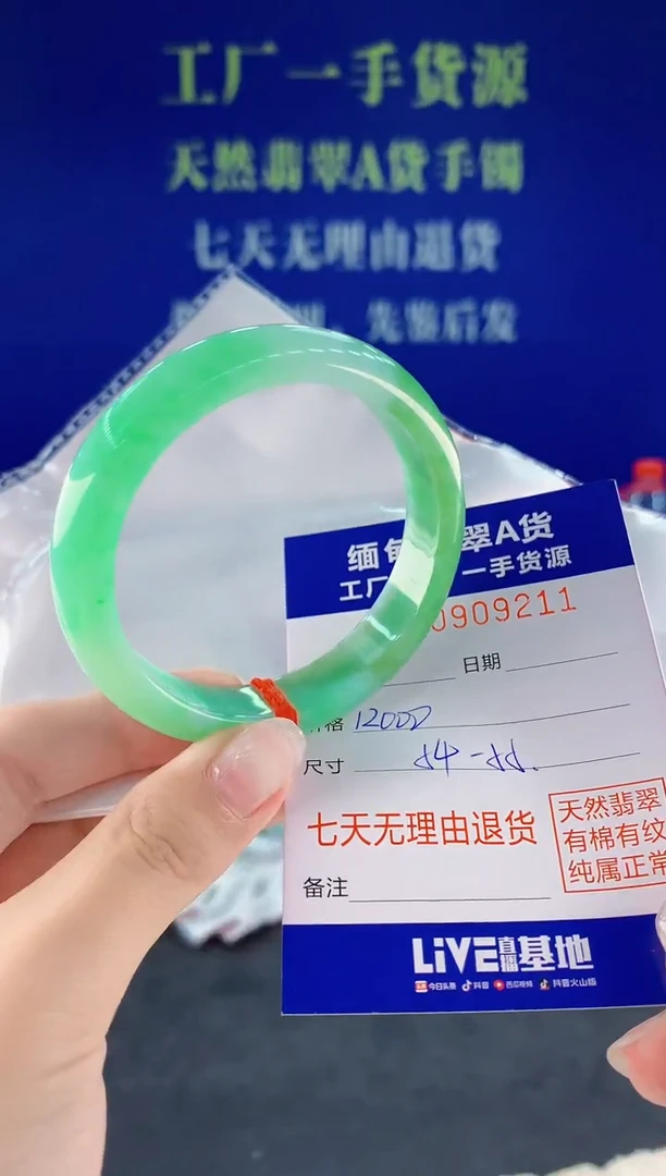 未镶嵌手镯翡翠10