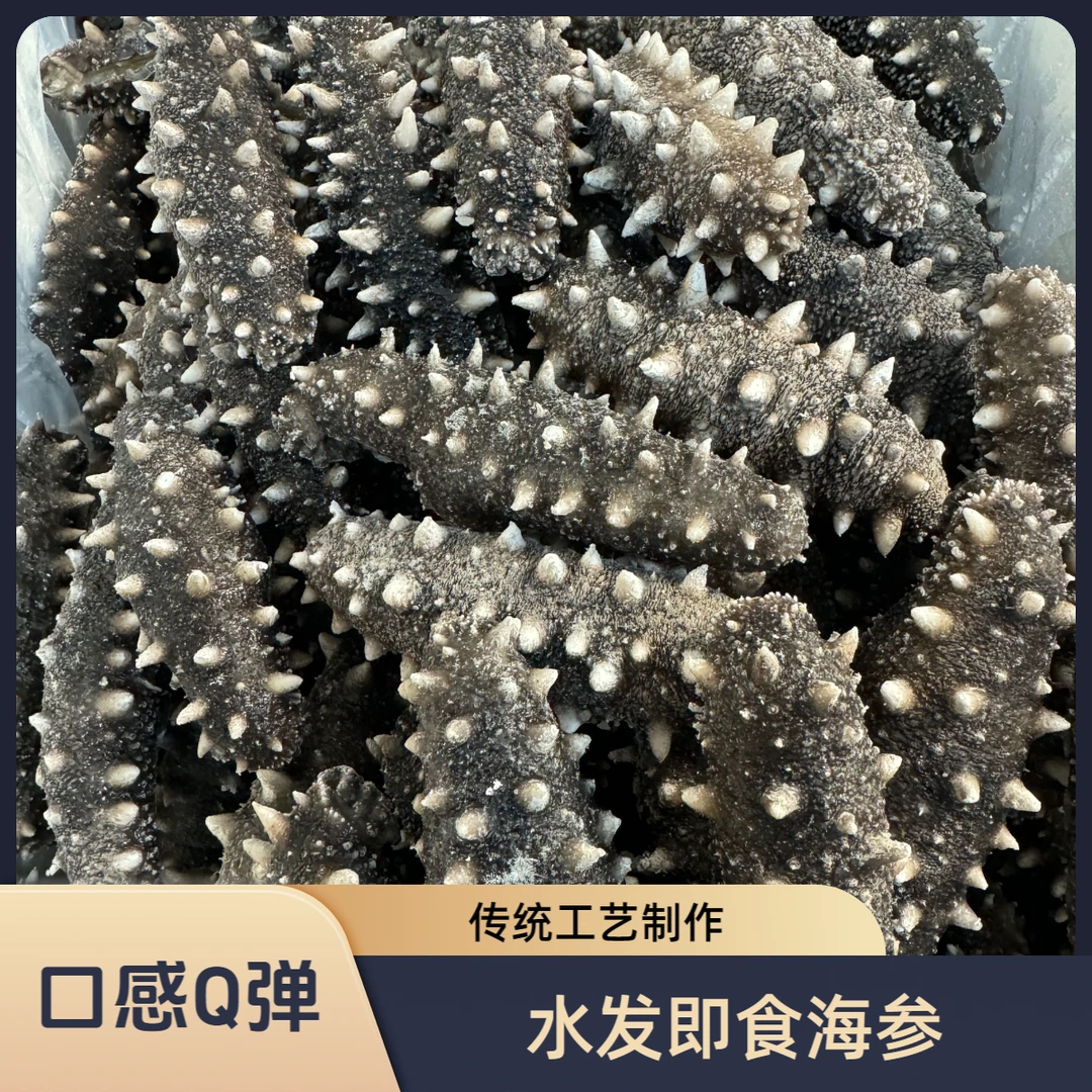 【即食海参】参世尊品规格8-26头净重500g