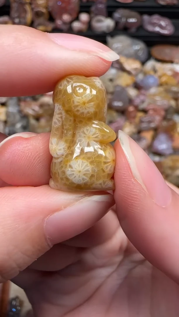 颈饰未镶嵌硅化珊瑚（珊瑚玉）327