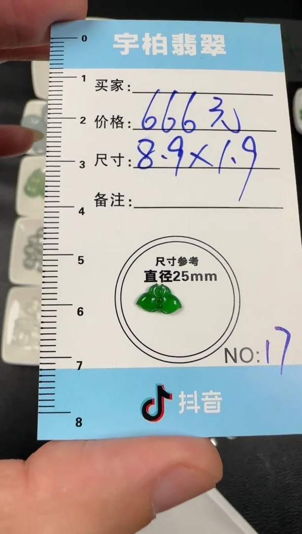未镶嵌定制翡翠 天然A货翡翠+蝴蝶17