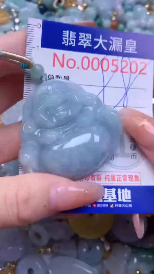 翡翠未镶嵌吊坠(不含链)5202