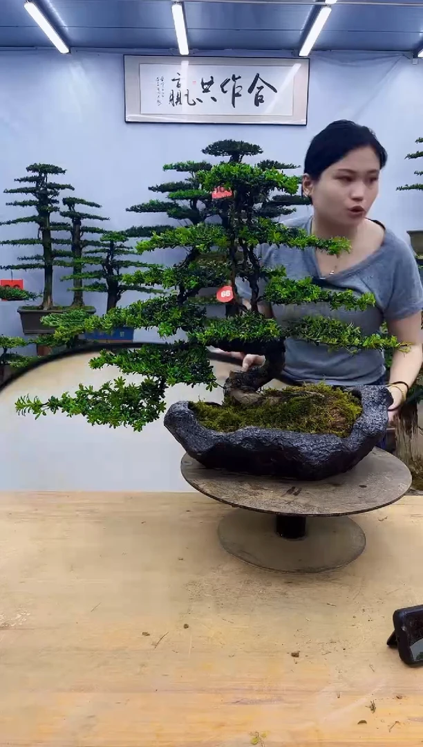 无花朵一物一拍，所见即所得