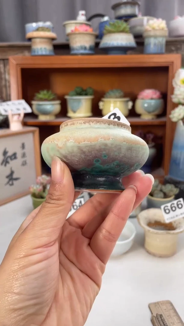 瓷片663福利知木小芳花盆