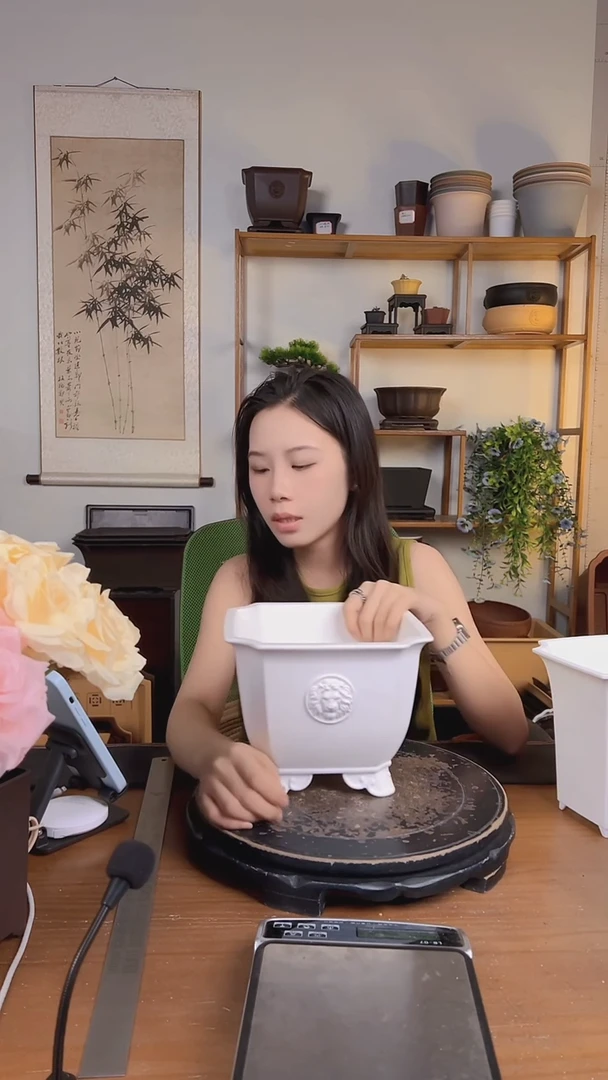 21*16狮头浮雕2只茶白