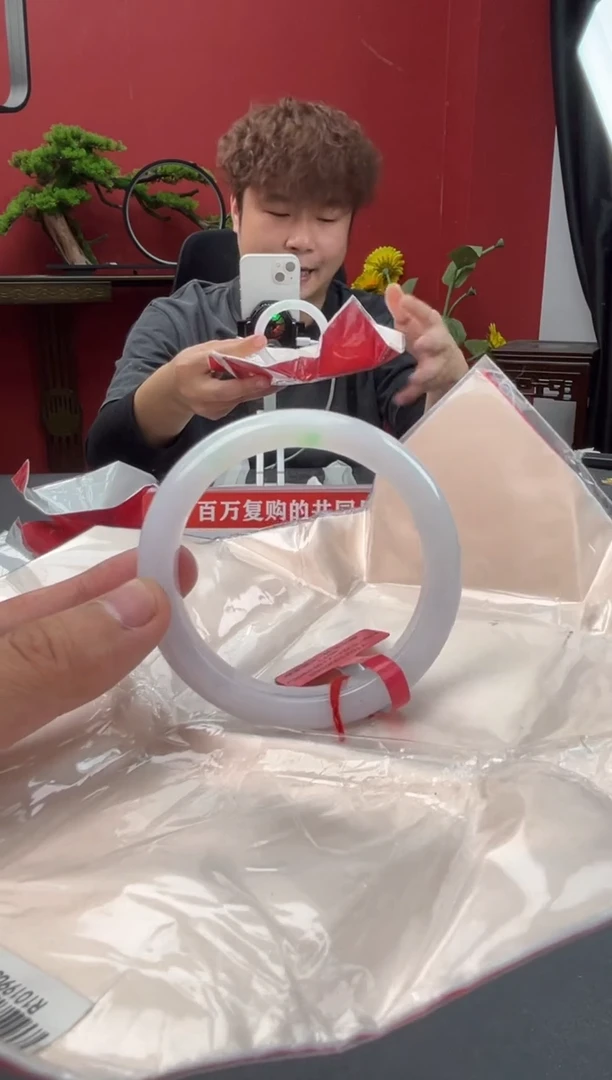 未镶嵌手镯翡翠6