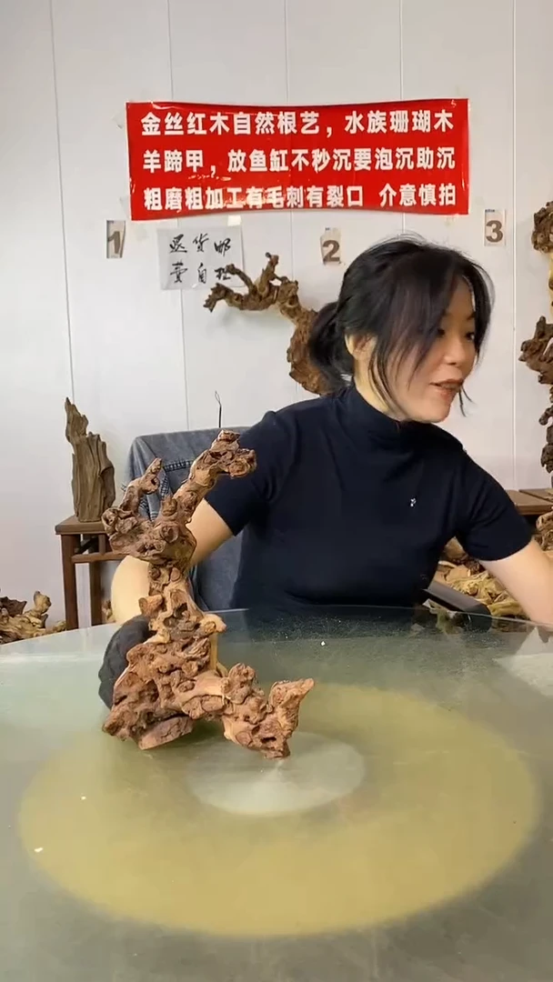 香榧木吴*龙金丝红木 羊蹄甲