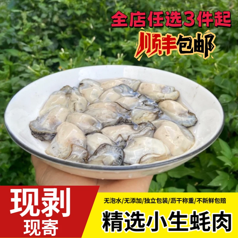 汫洲本地牡蛎肉粉蚝海蛎肉珍珠蚝蚝仔生蚝顺丰冷链冰鲜发货（小蚝）