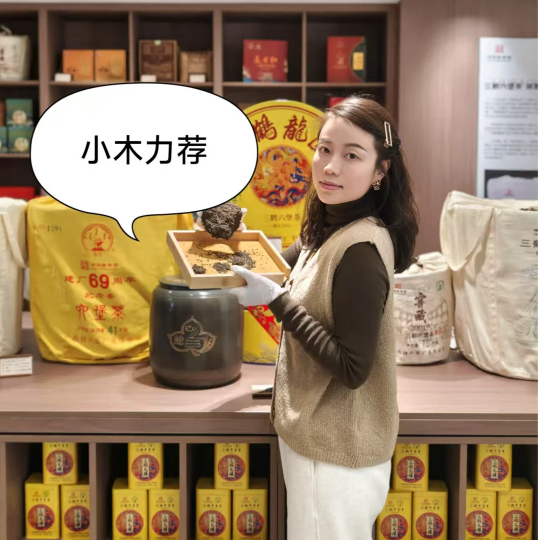 金花茶100g分享装（小木推荐老金花）广西梧州正宗六堡茶特级