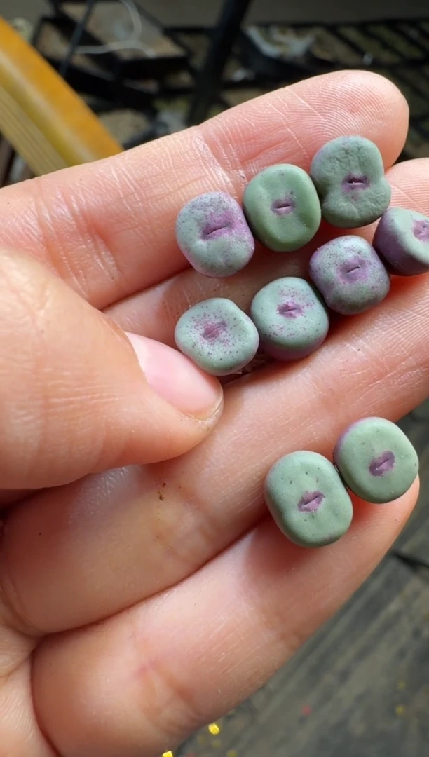 【闪购商品】17-259红嘴2736X1380b一颗