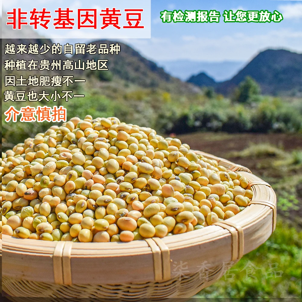 贵州非转基因老品种黄豆当季新鲜打豆浆发豆芽豆花豆腐农家杂粮