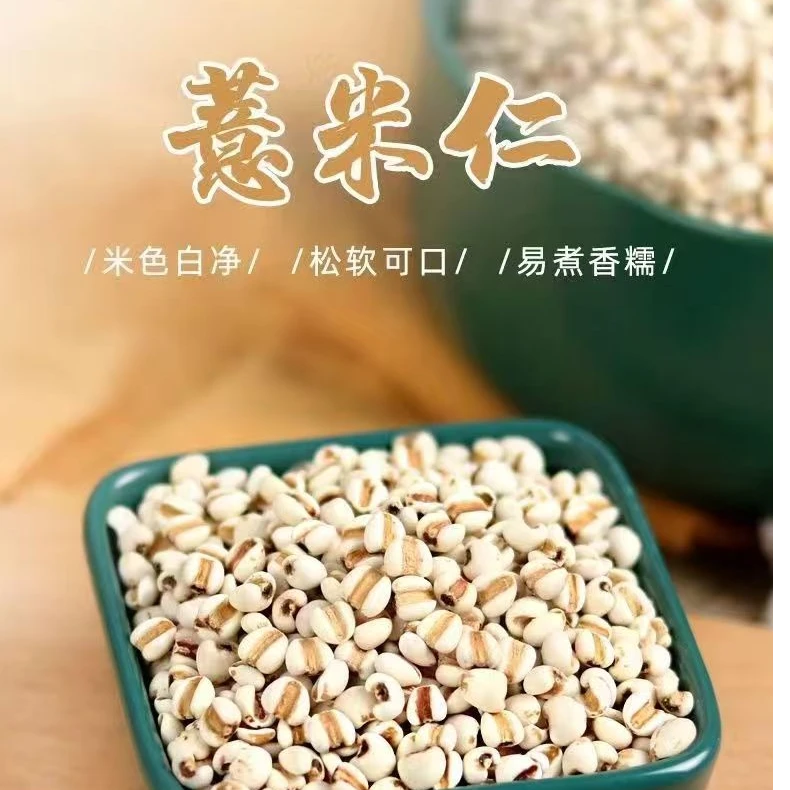 新鲜贵州小薏米营养丰富可煮粥煮水的五谷杂粮