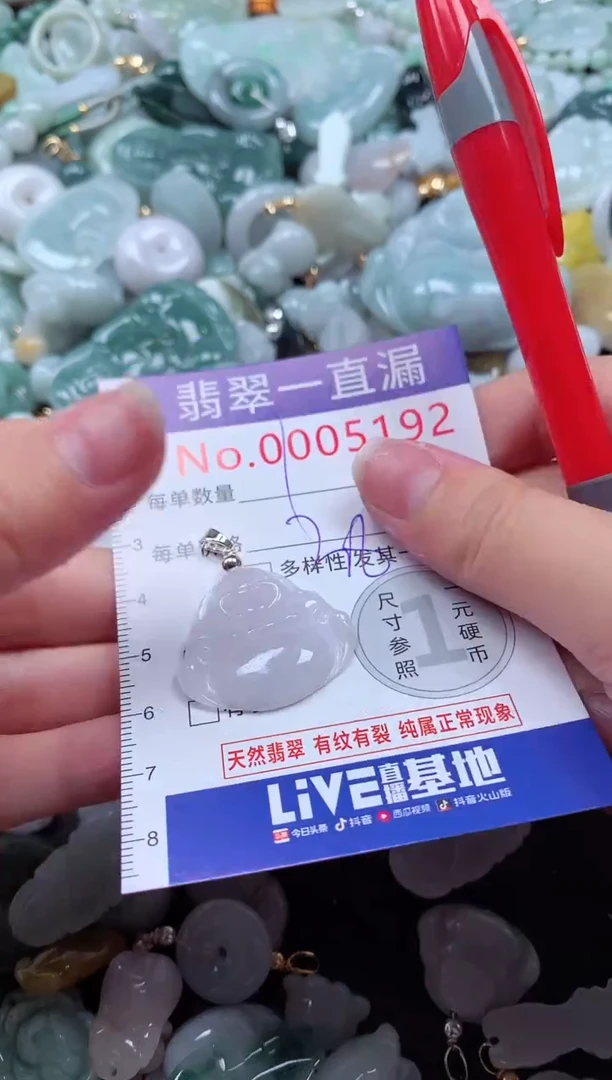 翡翠未镶嵌吊坠(不含链)5192