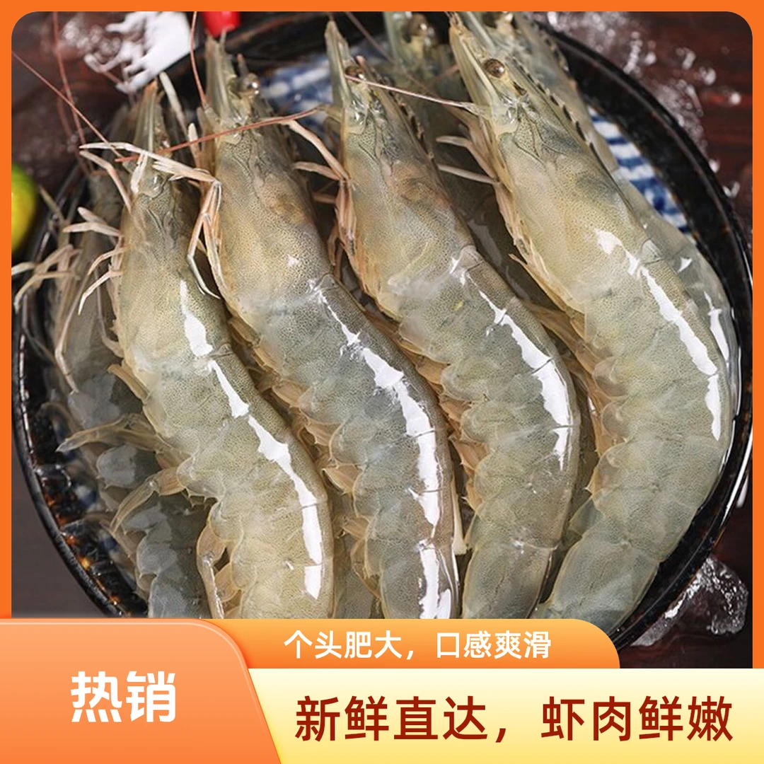 W【20-30大虾】 渔船上岸大号海洋大虾 单只16~18cm/只 一盒4斤 45-50只