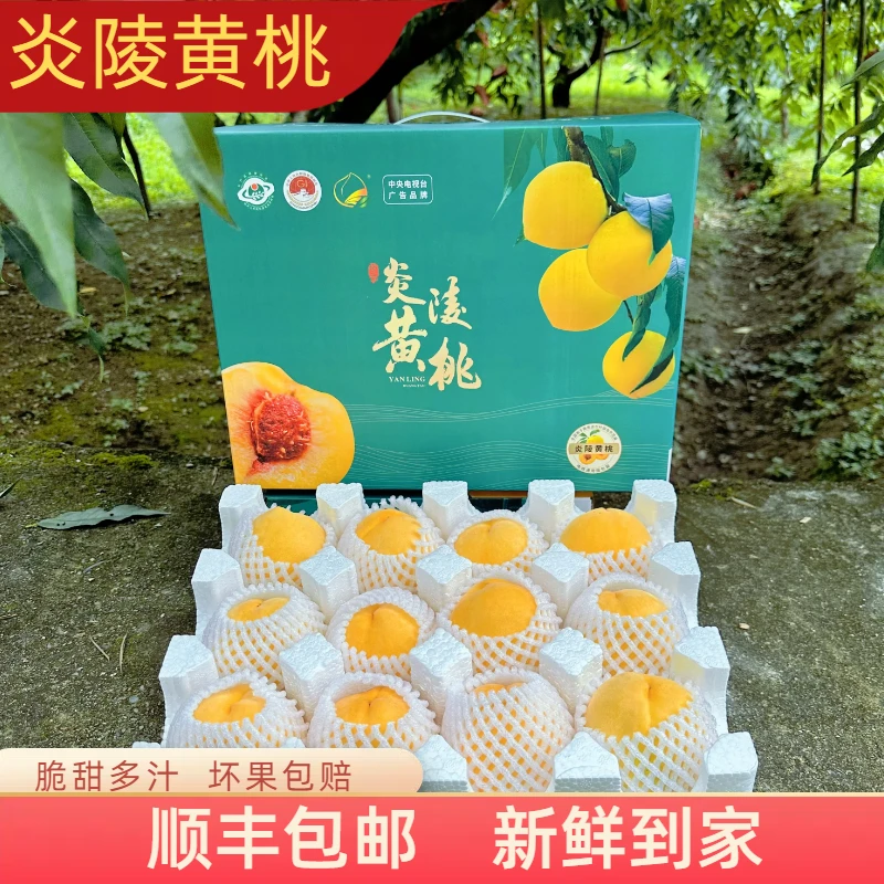 【送礼精品果】正宗湖南炎陵黄桃当季现摘现发脆甜孕妇新鲜水果大桃