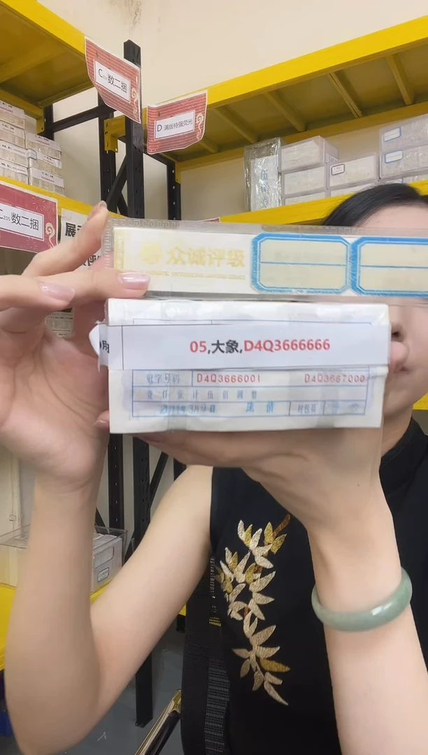 M 05,大象,D4Q3666666
