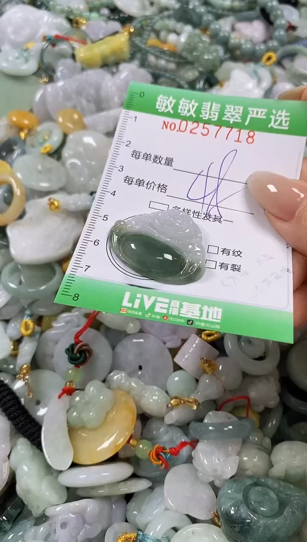 翡翠未镶嵌颈饰闪购0257718