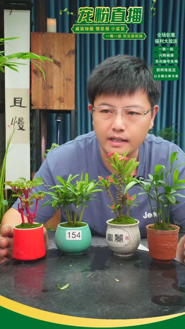 无花朵K****°苔藓微景观154号