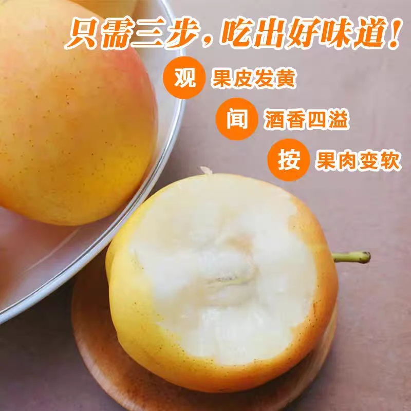 辽宁鞍山南果梨南果梨辽宁省