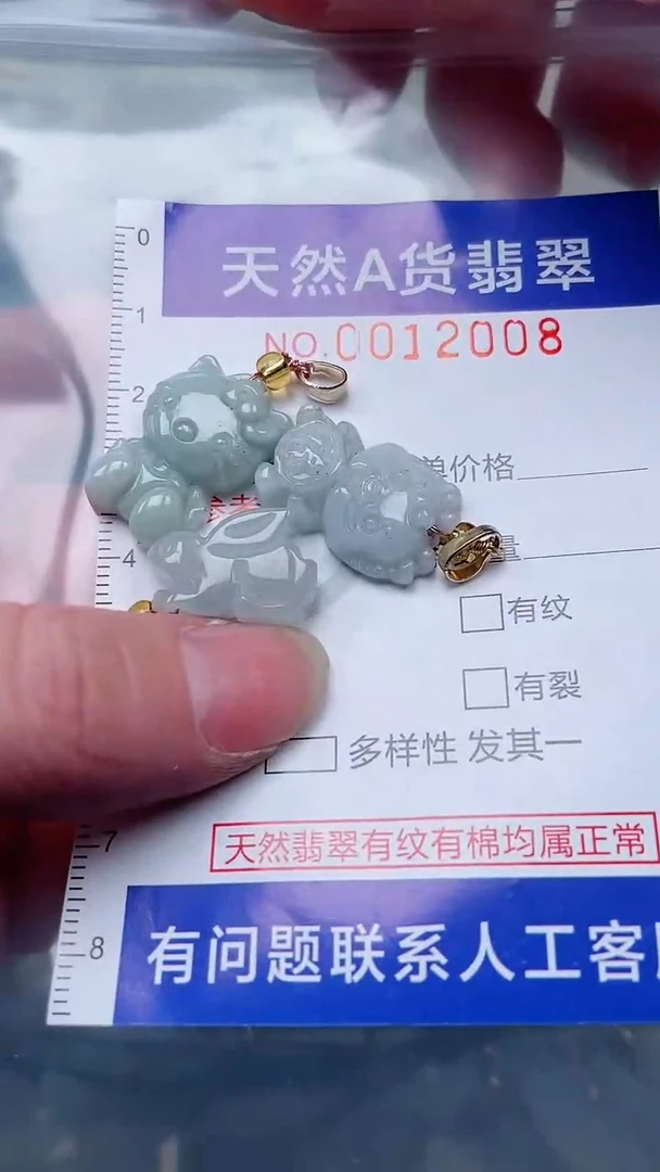 翡翠未镶嵌吊坠(赠链)1