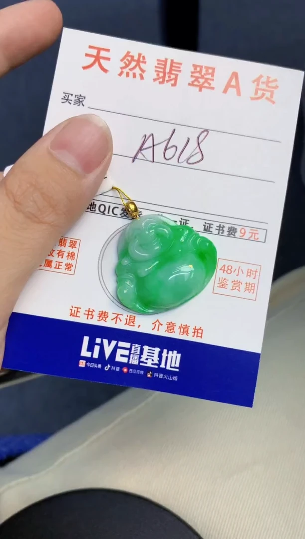 颈饰18K金镶嵌翡翠天然缅甸A货翡翠百元以上9元证书费自理