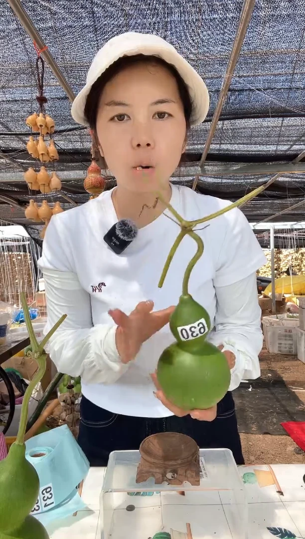 630天然葫芦摆件 一物一拍龙头不保售后