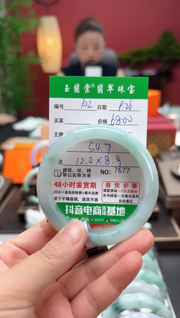 未镶嵌手镯翡翠翡翠102