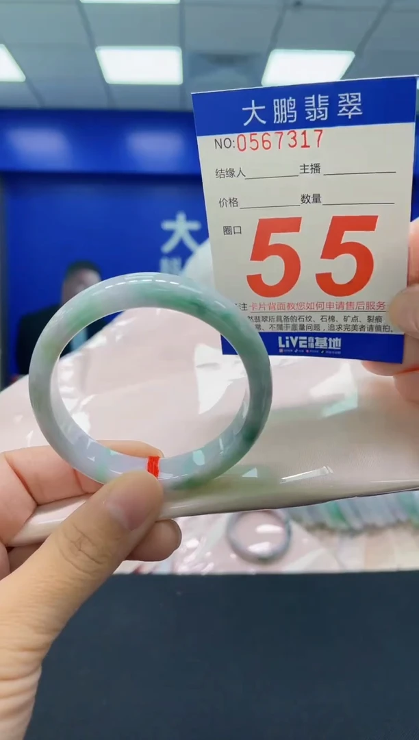 未镶嵌手镯翡翠AAAAAAAAAA