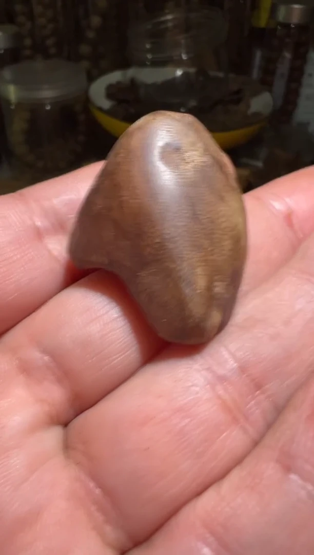 沉香沉香碎屑加里曼丹4.2克