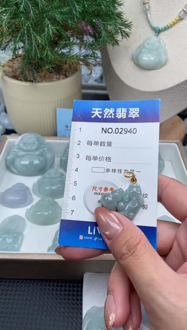 颈饰未镶嵌翡翠纯天然A货翡翠2940