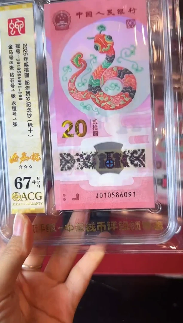 塑料2025 蛇钞 爱藏标十 啊啊啊如图