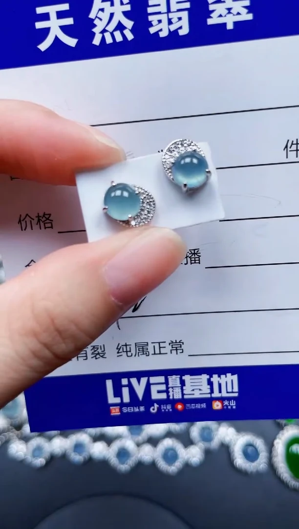 银S925镶嵌翡翠耳饰369