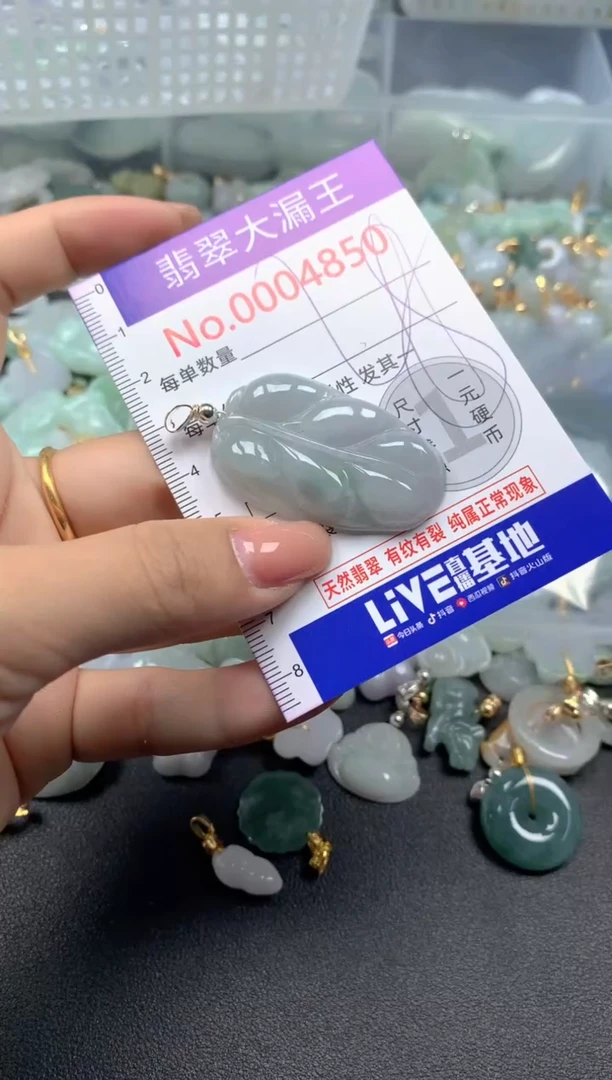 颈饰未镶嵌翡翠4850