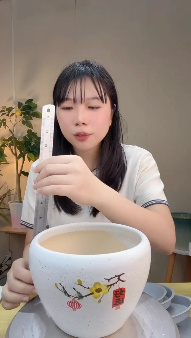 陶瓷花盆好运苹果盆口径17/高度12