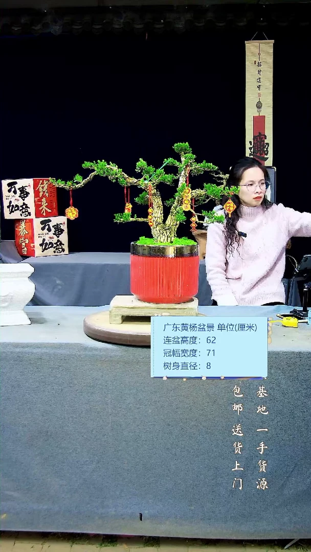 【闪购商品】黄杨盆景黄杨盆景